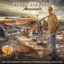 Pedro Bermúdez